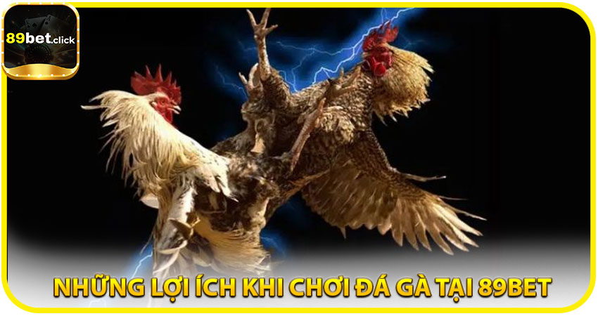 Những lợi ích khi chơi đá gà tại 89BET