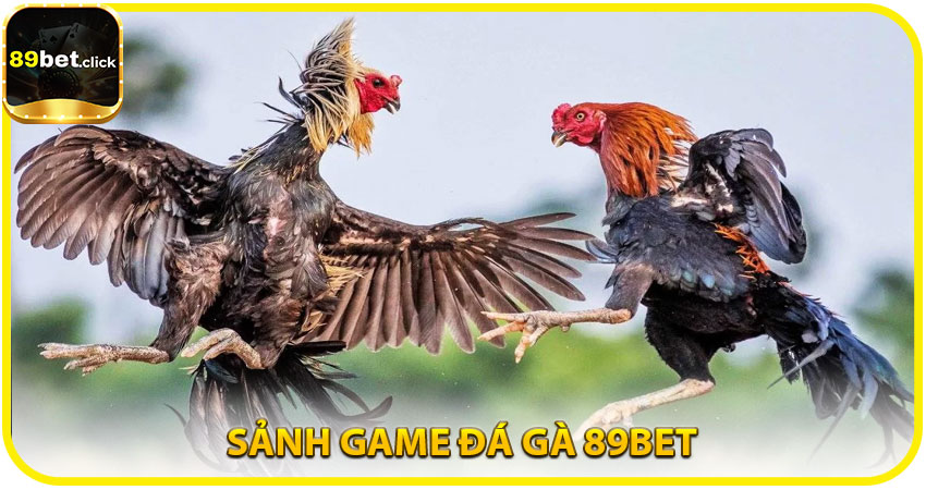 Sảnh Game Đá Gà 89BET